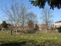 Imagine atasata: Cimitirul Evreiesc - 2018.03.12 - 03.jpg